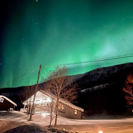 Hundbergan Apartment-Free Parking-15 Min From Tromso Tromsdalen Extérieur photo