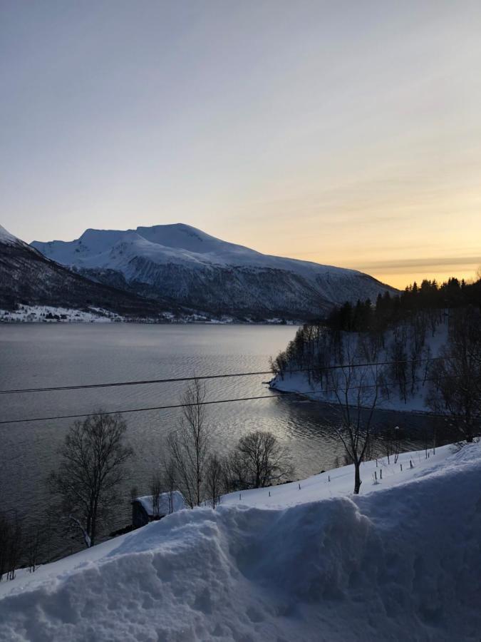 Hundbergan Apartment-Free Parking-15 Min From Tromso Tromsdalen Extérieur photo