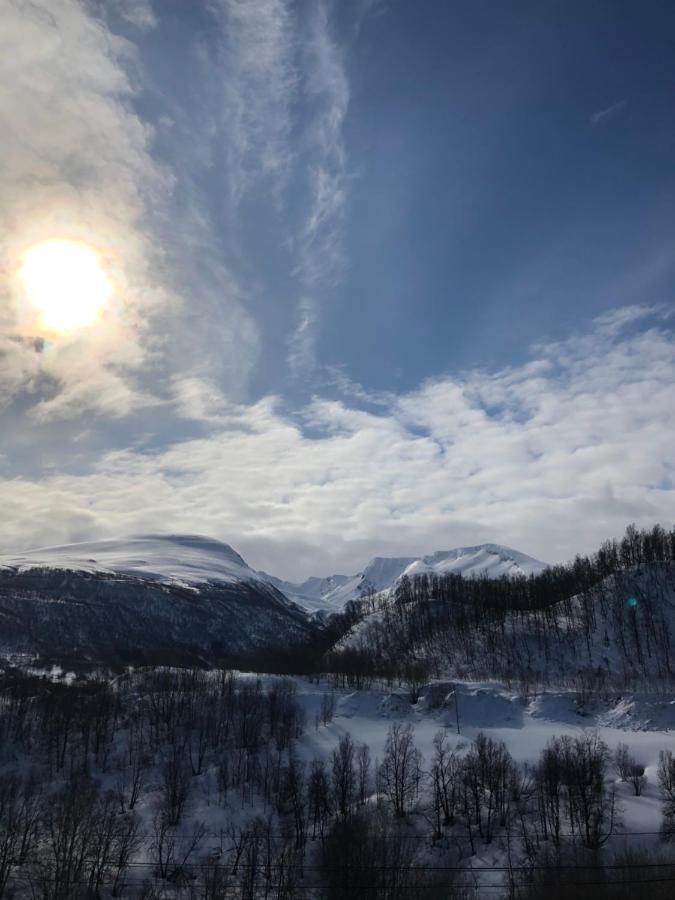Hundbergan Apartment-Free Parking-15 Min From Tromso Tromsdalen Extérieur photo